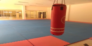 ห้องศิลปะป้องกันตัว